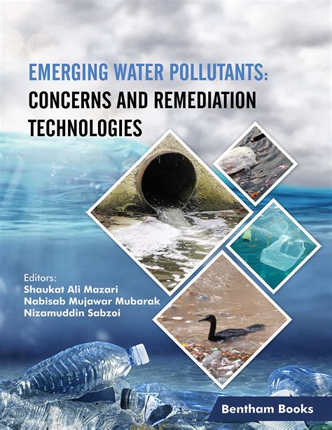 Analysis and Remediation of Pollutants in Water and Soil