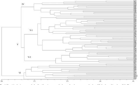 Analysis of Genetic Diversity in Chrysopogon …