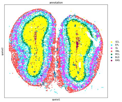 Analysis of Stereo-seq mouse olfactory bulb dataset