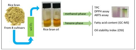 Analysis of the key aroma volatile compounds in rice bran during ...