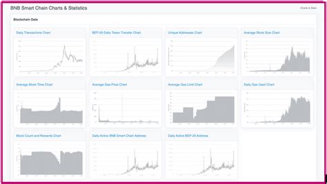 Analyzing BSC's Transaction Data with BscScan