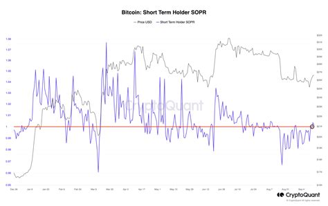 Analyzing Bitcoin's Recent Performance and Market Sentiment