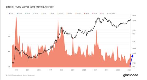 Analyzing the Data: Glassnode's Hodl Waves