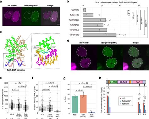 Ananog Leaks 🍆 XXX
