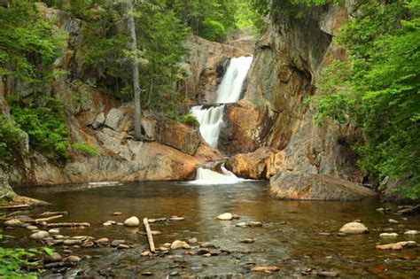 veodersti.rgarabwor.edu.pl. 