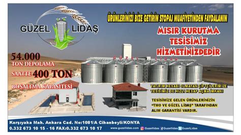 codini.rgarabwor.edu.pl. 