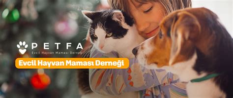 Anasayfa Petfa. 