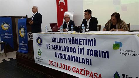 codini.rgarabwor.edu.pl. 