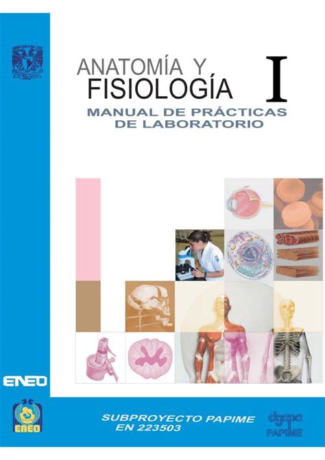 Anatomía fisiología manual de laboratorio versión. - Transition to oracle solaris 11 student guide.