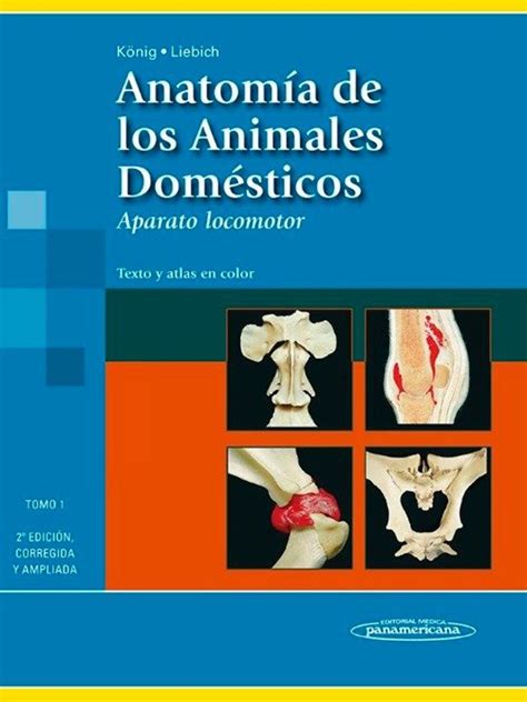 Anatomia comparada de los animales domesticos t. - Manuale di scrittura tecnica undicesima edizione.