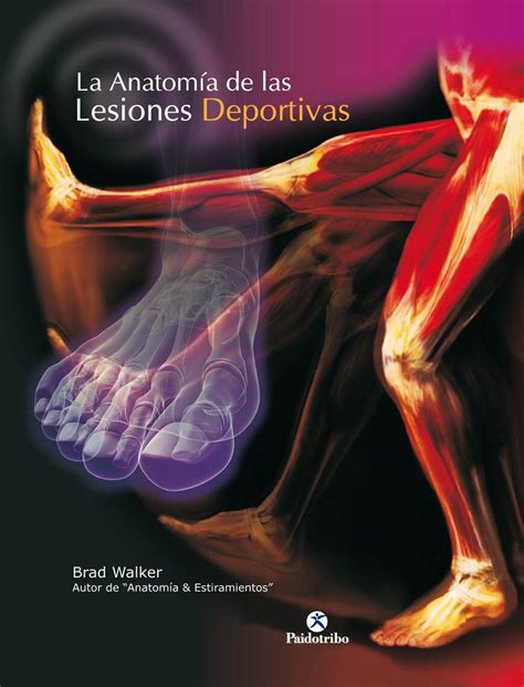 Anatomia de las lesiones deportivas la color medicina. - Volvo ec210b nc excavator service repair manual.