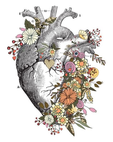 Anatomical Heart With Flowers Drawing