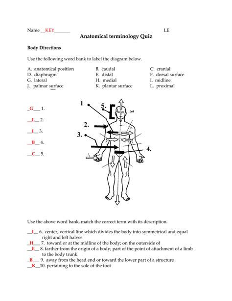 Anatomical Terminology Worksheet 1 Answers black411 blog