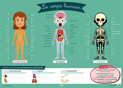 Anatomie de l'homme, ou description et figures lithographiées de toutes les parties du corps humaine. - Hotpoint aquarius wf321 washing machine manual.