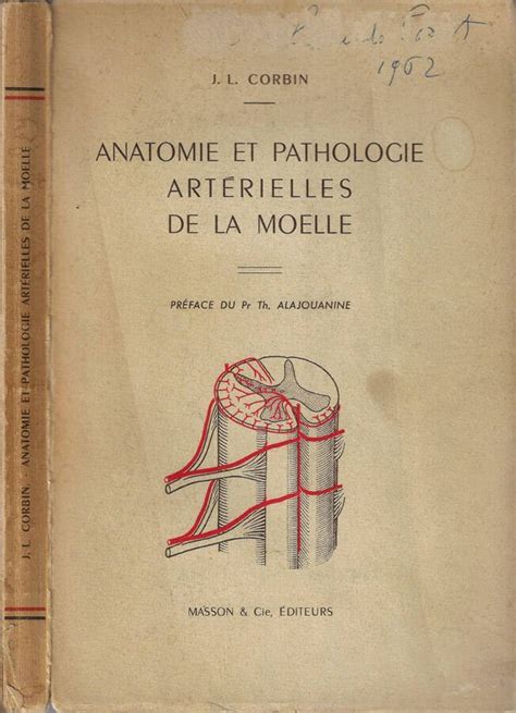 Anatomie et pathologie artérielles de la moelle. - Manuale d'uso honda szx 50 s.