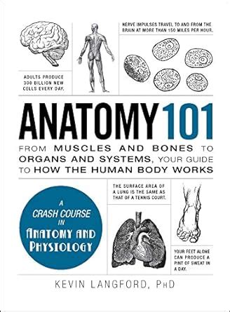 Anatomy 101 from muscles and bones to organs and systems your guide to how the human body works adams 101. - Fundamentals finite element analysis solution manual.