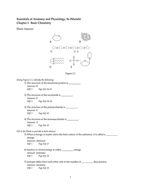 Anatomy And Physiology Chapter 2 Basic Chemistry Study Guide Answers