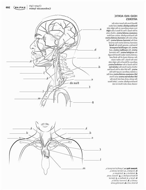 Violin Coloring Page