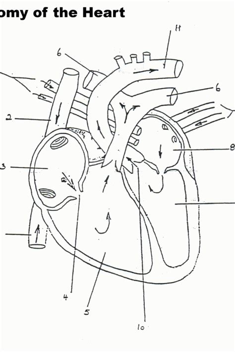 Coloring Pages My Little Pony