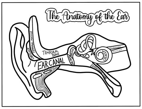Crayola Art Edge Coloring Books