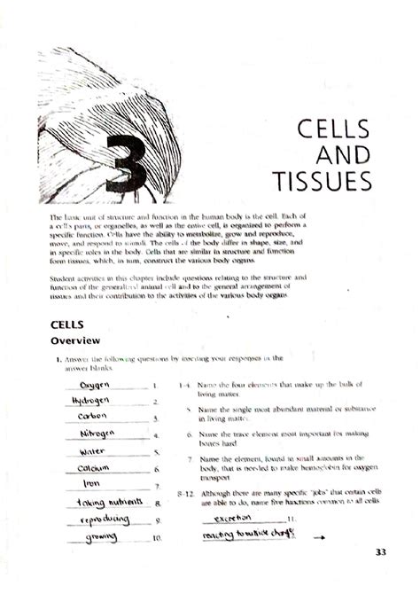 Anatomy Physiology Coloring Workbook Cells Tissues Pdf