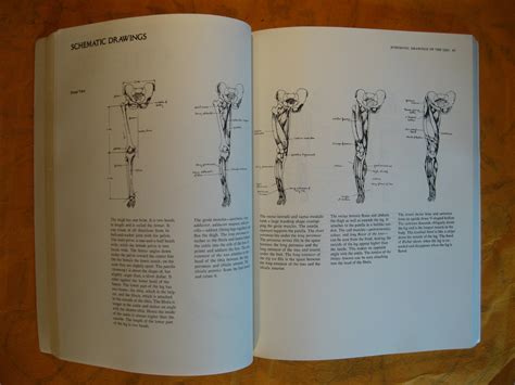 Anatomy a complete guide for artists dover anatomy for artists. - Nutritional herbology a reference guide to herbs.