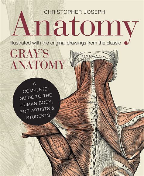 Anatomy a complete guide to the human body for artists students. - Radio manuale di servizio murphy a98 sa98.