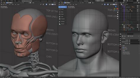 Anatomy and Form in Blender Sculpting Course