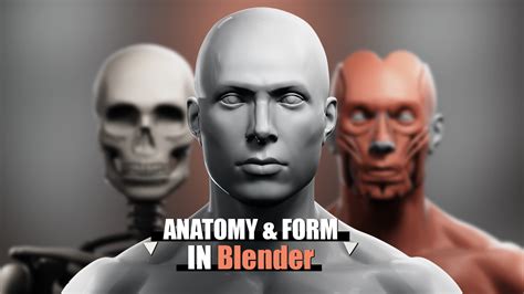 Anatomy and Form in Blender Sculpting Course [] BlenderNation