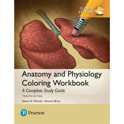 Anatomy and Physiology Coloring Workbook a Complete Study Guide