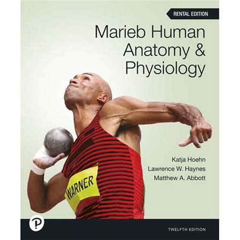 Anatomy and Physiology used book by Katja N. Hoehn, Elaine N.