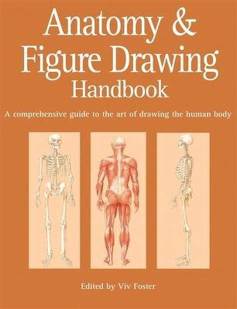 Anatomy and figure drawing handbook a comprehensive guide to the. - Corghi wheel balancer manual em 7040.