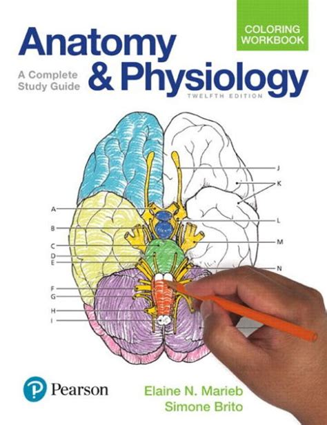 Anatomy and physiology coloring workbook a complete study guide by elaine n marieb 2011 01 17. - Cpon exam secrets study guide cpon test review for the oncc certified pediatric oncology nurse exam.