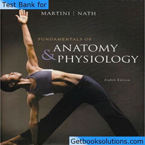 Anatomy and physiology martin study guide. - Glaube im ungläubigen, unglaube im gläubigen.