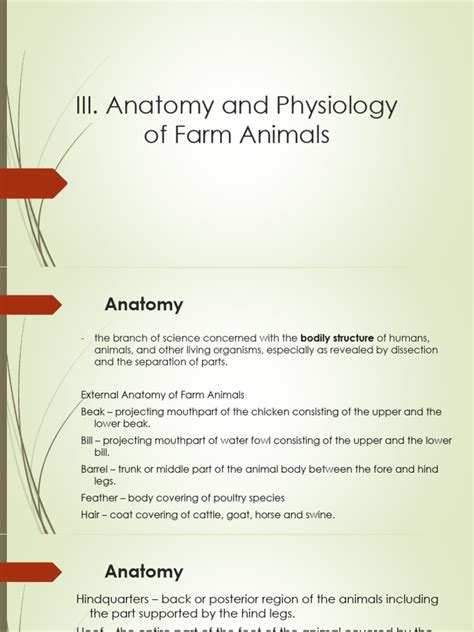 Anatomy and physiology of farm animals lecture notes.  This lab practic...