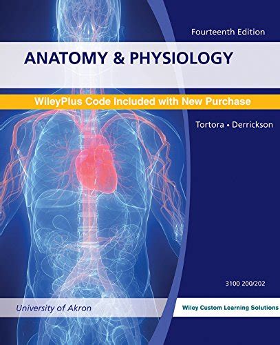 Anatomy and physisology 14th edition study guide. - 115 hp johnson outboard 93 manual.