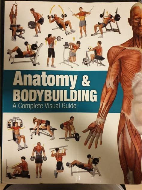 Anatomy bodybuilding a complete visual guide. - Godel escher bach guida alla lettura.