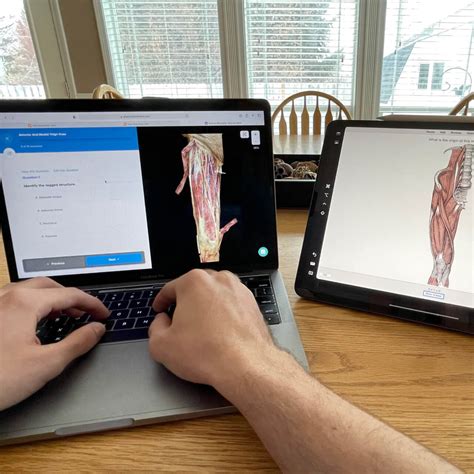 Anatomy bootcamp. GIVEAWAY TIME!!! Win a FREE Anatomy Bootcamp Plus subscription (One Year of Access - $197 value). Anatomy Bootcamp has everything you need to master anatomy. We cover: Gross Anatomy, Dental... 