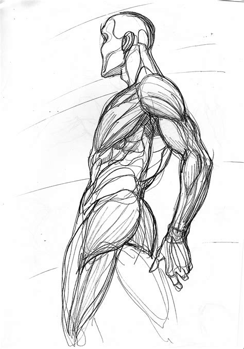 Anatomy drawing. Learn how to draw human anatomy with this step-by-step guide from Skillshare Blog. Start with basic blocking, define the muscle structure, and add in the final details of your figures. Discover the anatomical drawings of Leonardo da Vinci and other artists who understood the human body. 