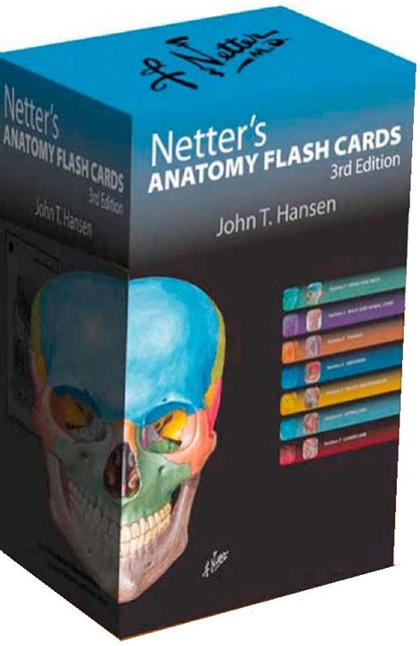 Anatomy netter flash cards. Things To Know About Anatomy netter flash cards. 
