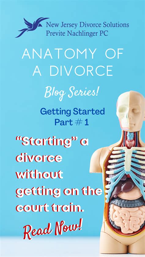 Anatomy of a divorce a guide for fathers. - The infertility survival guide by judith c daniluk.