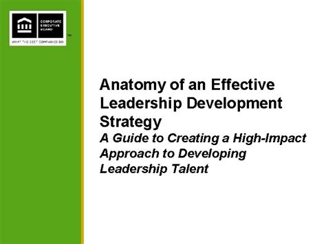 Anatomy of an Effective Leadership Development Strategy