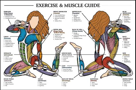 Anatomy of exercise for women a trainers guide to exercise for women. - Operasjonsanalytisk metode for optimal planlegging av skiftestasjon..