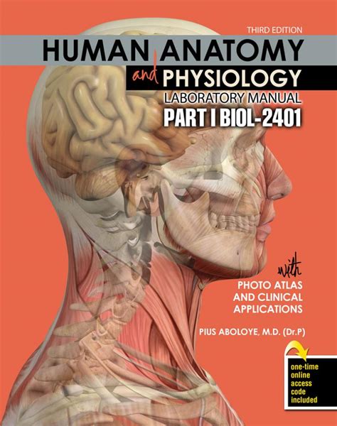 Anatomy physiology 2401 lab manual answers. - Four winds motor home service manual 2010.