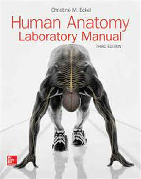 Anatomy physiology lab manual 3rd edition. - Metodologia de las ciencias sociales el libro universitario manuales.