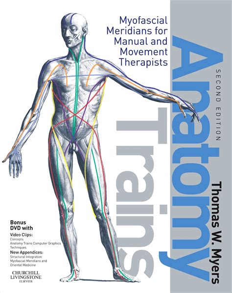 Anatomy trains myofascial meridians for manual and movement therapists 2e. - Linde vi 253 welding machine owners manual.