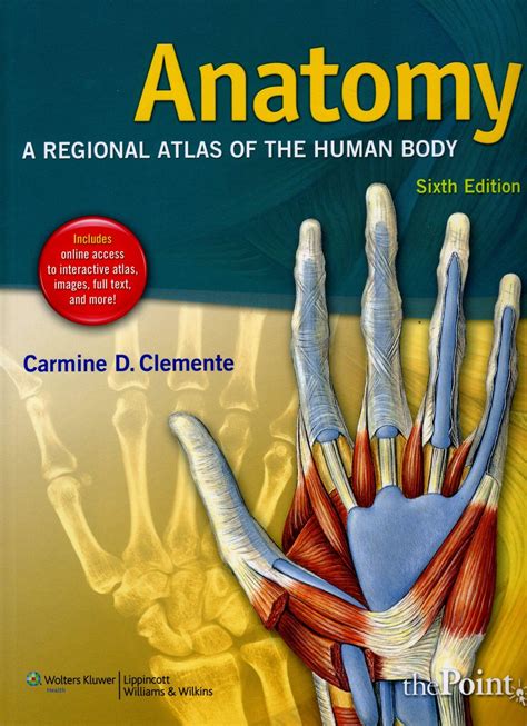 Read Online Anatomy A Regional Atlas Of The Human Body By Carmine D Clemente