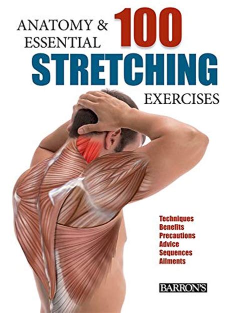 Download Anatomy And 100 Essential Stretching Exercises By Guillermo Seijas Albir