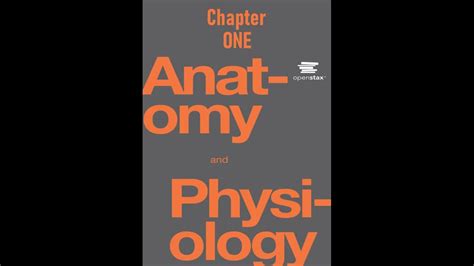 Read Anatomy And Physiology By Openstax College
