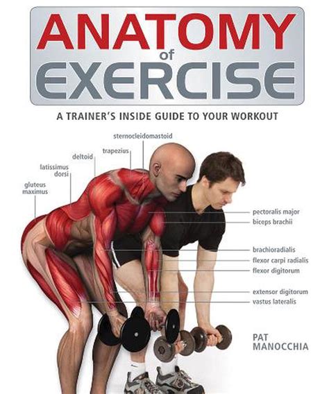 Download Anatomy Of Exercise A Trainers Inside Guide To Your Workout By Pat Manocchia